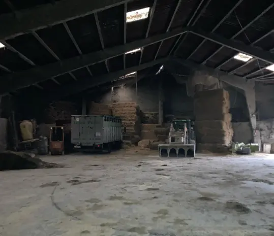 granjas_pardal_frisona