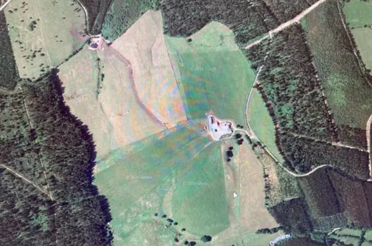 granjas_pardal_frisona