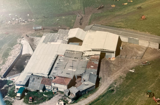 granjas_pardal_frisona