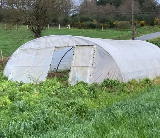 granjas_pardal_frisona