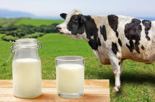 granjas_pardal_frisona